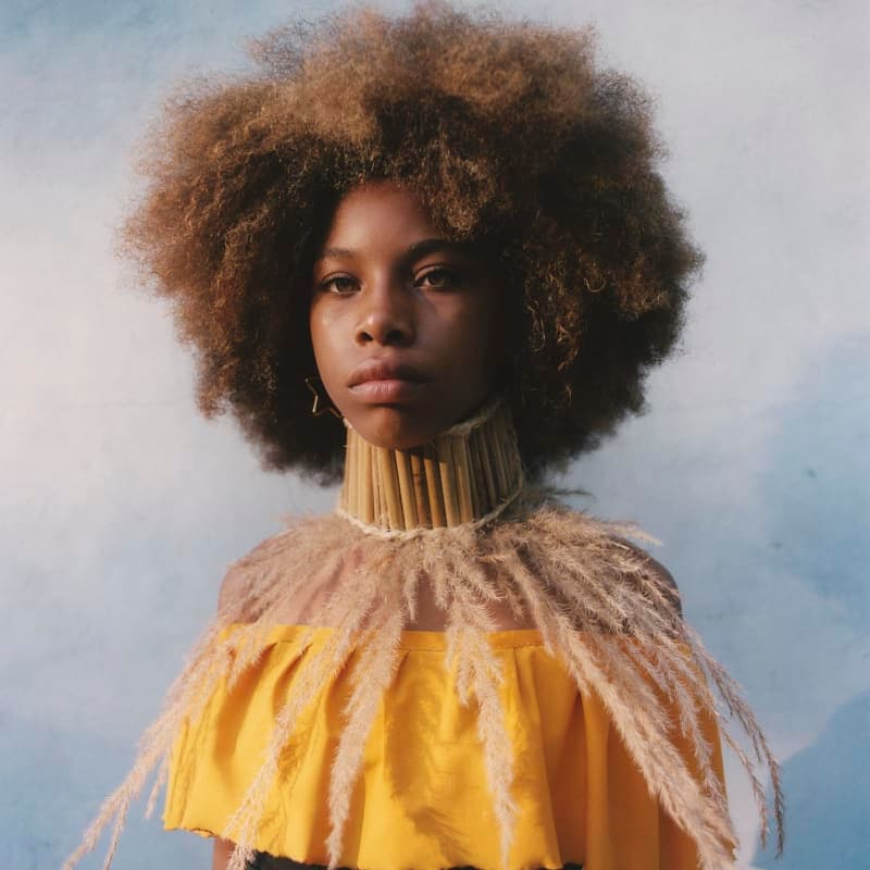 Modelo latinoamericana